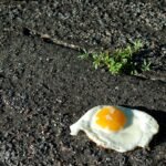 Ei op de weg European Coagulate index